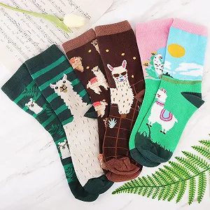 Шкарпетки Jeasona Жіночі 3 пари 39-42 synthetic.ua - Фото 1