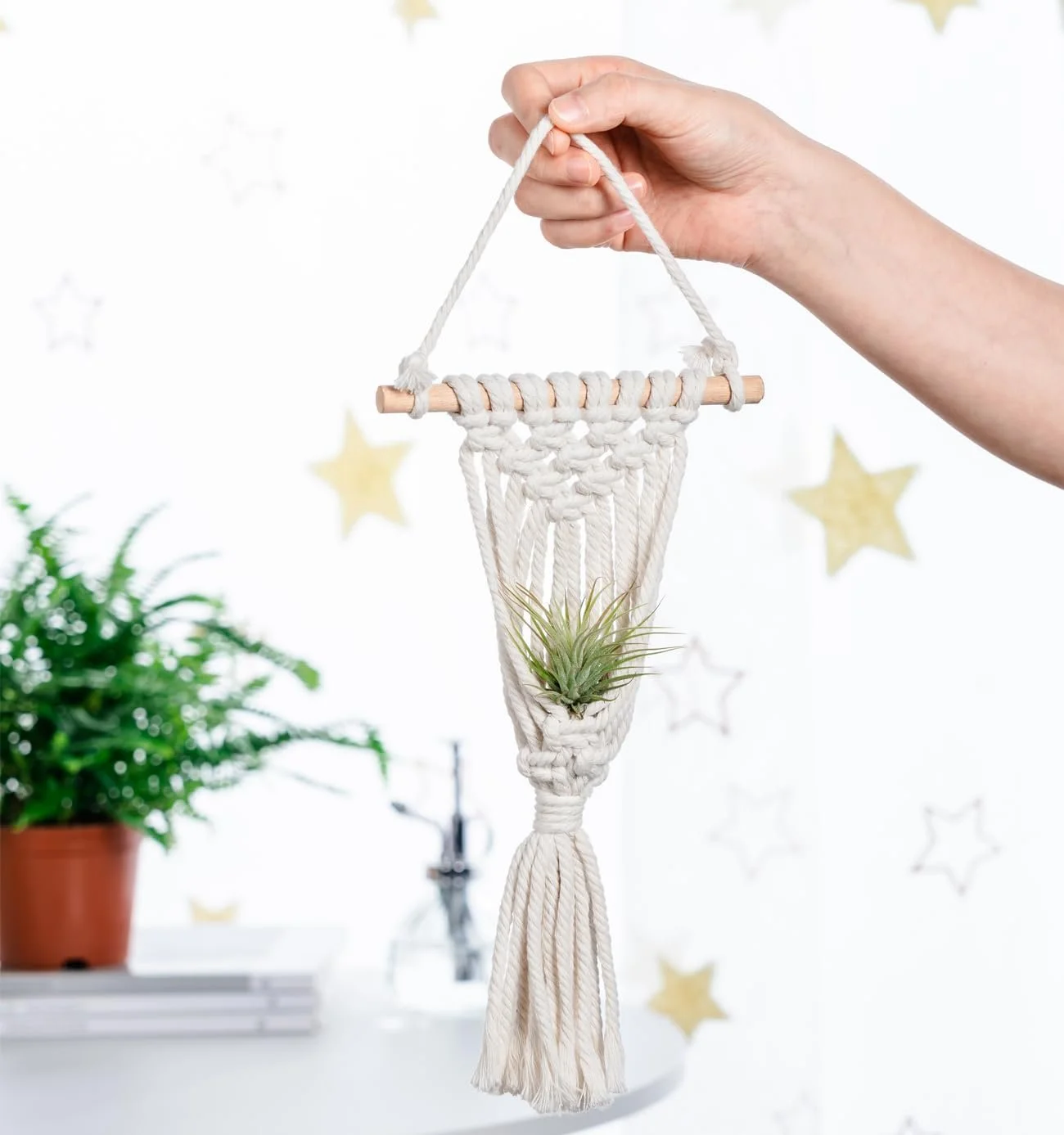 Підвісні тримачі для повітряних рослин Melphoe макраме Набір 4 шт. для тілландсії, фото №6 Підвісні тримачі для повітряних рослин Melphoe макраме Набір 4 шт. для тілландсії, фото №6