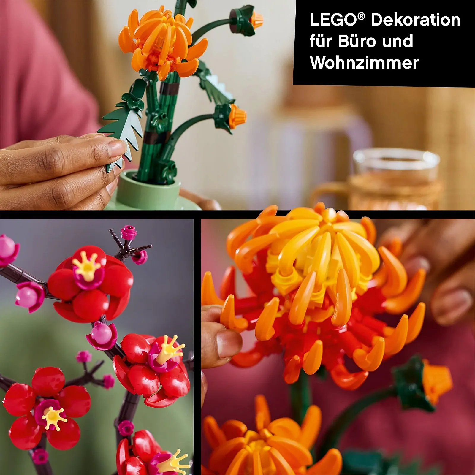 Конструктор LEGO Цветы Новинки Комби - Хризантема и Цветок Сливы (10368, 10369) как Комнатное Украшение, фото №4