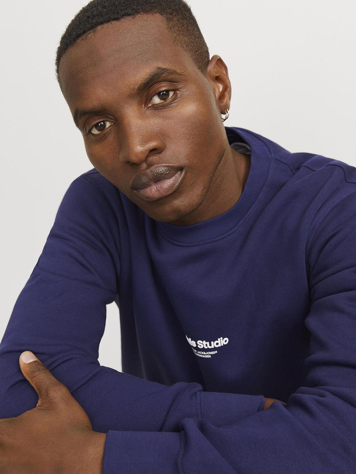 Світшот JACK & JONES Jorvesterbro Crew Neck Noos Чоловічий, фото №8