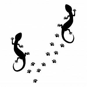 Наклейка для стін KLEB® Drauf 2 lizards and 24 Paws 19 кольорів матова або глянцева - Фото 1