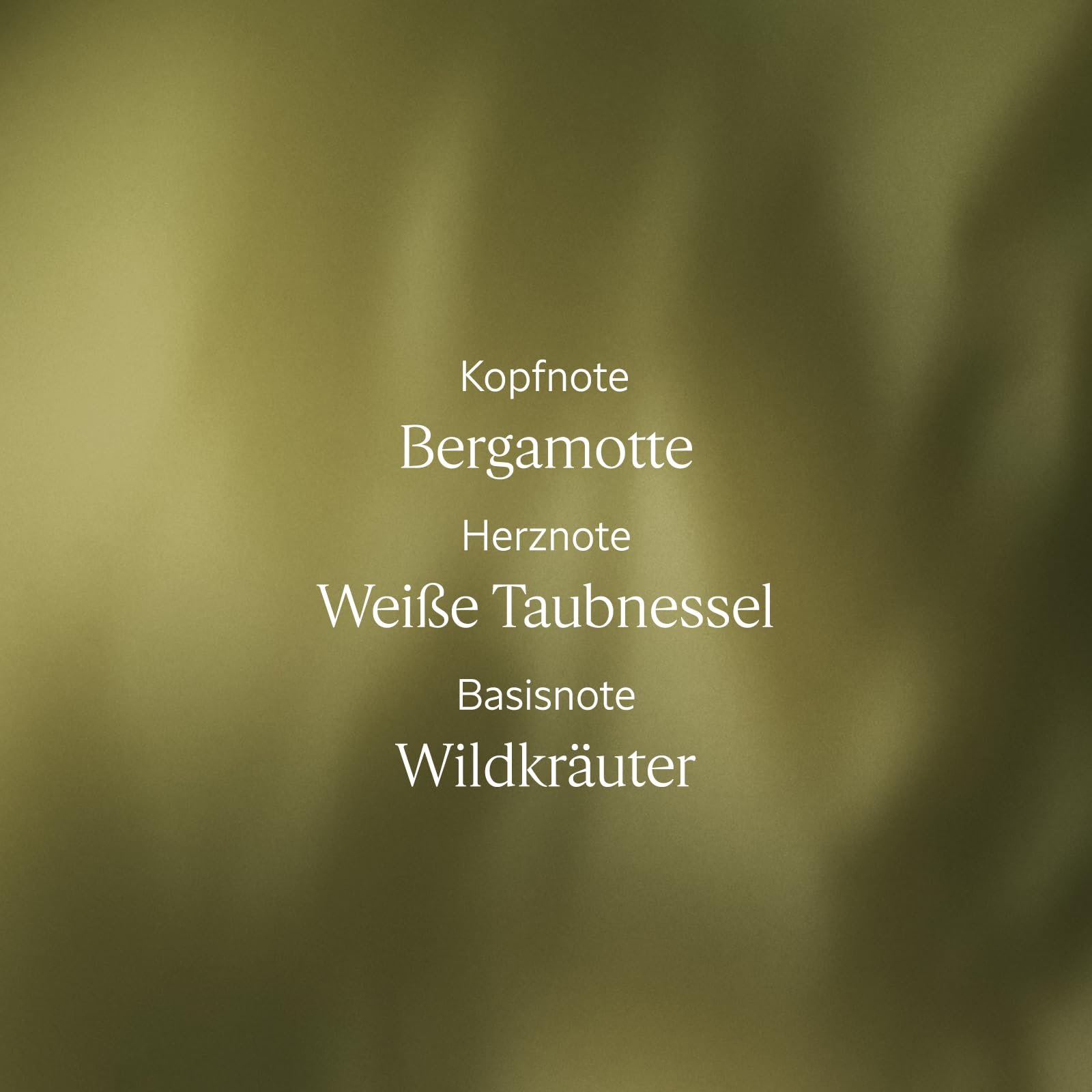 Гель для душа L'OCCITANE Herbae 250 мл, фото №3