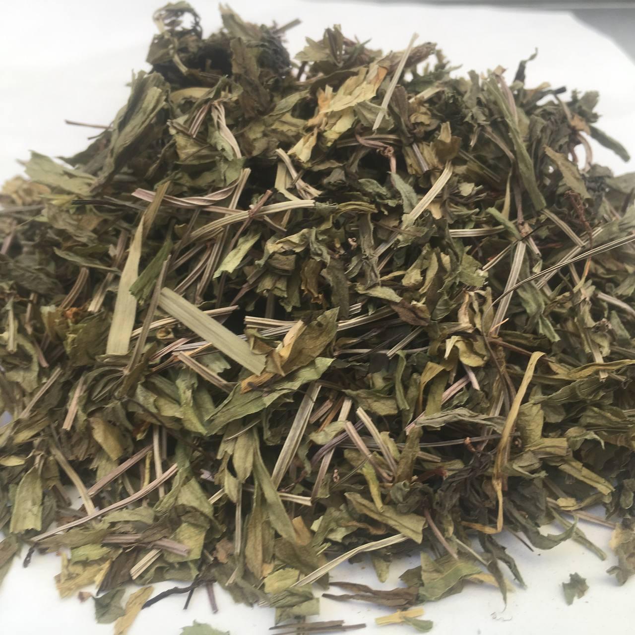 Ясменник душистый трава Карпаты 50 г, фото №1 Ясменник душистый трава Карпаты 50 г, фото №1