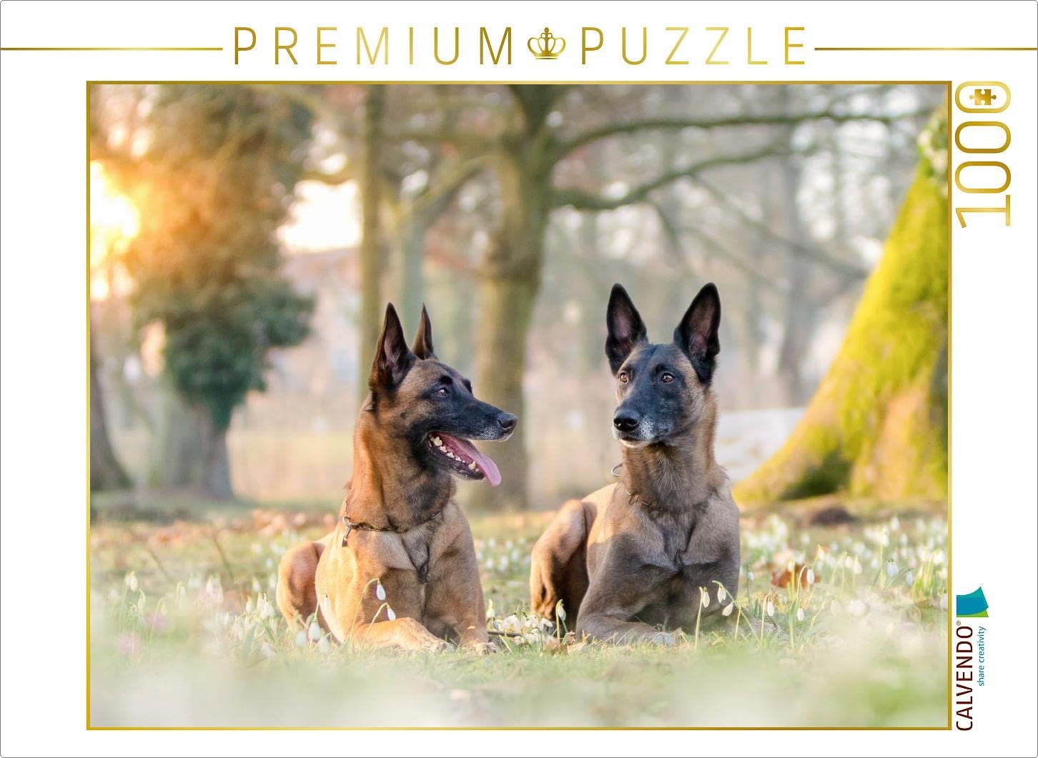 Puzzle CALVENDO Malinois - Belgian Energy Bundle 1000 деталей 64 x 48 cm, фото №1 Puzzle CALVENDO Malinois - Belgian Energy Bundle 1000 деталей 64 x 48 cm, фото №1