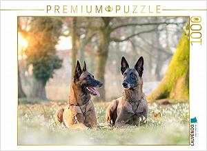 Puzzle CALVENDO Malinois - Belgian Energy Bundle 1000 деталей 64 x 48 cm - Фото 1