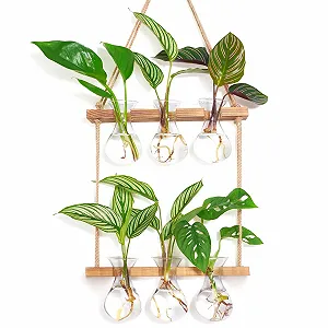 Настенная станция для размножения растений XXXFLOWER Wall Hanging 3 Bulbs 2 Tier Стеклянная с деревянной подставкой - Фото 1