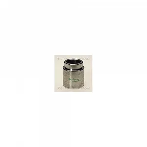 Поршень тормозного суппорта TRISCAN 8170 233819 для автомобилей с 3-м рядом сидений - Фото 1