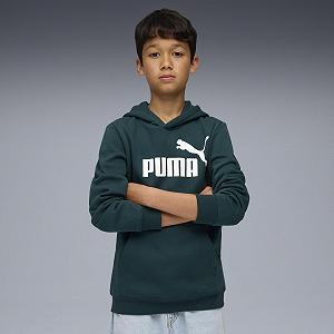 Худі Puma ESS No. 1 Logo Hoodie FL B для хлопчиків (1 шт. в упаковці) synthetic.ua - Фото 1