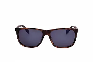 Сонцезахисні окуляри adidas Original OR0040-F Blonde Havana Multicoloured - Фото 1