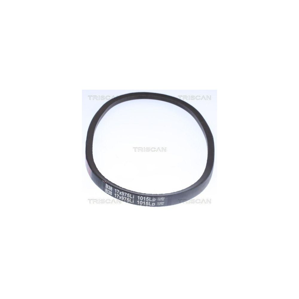 Клиновой ремень Triscan 8640 171045, фото №1