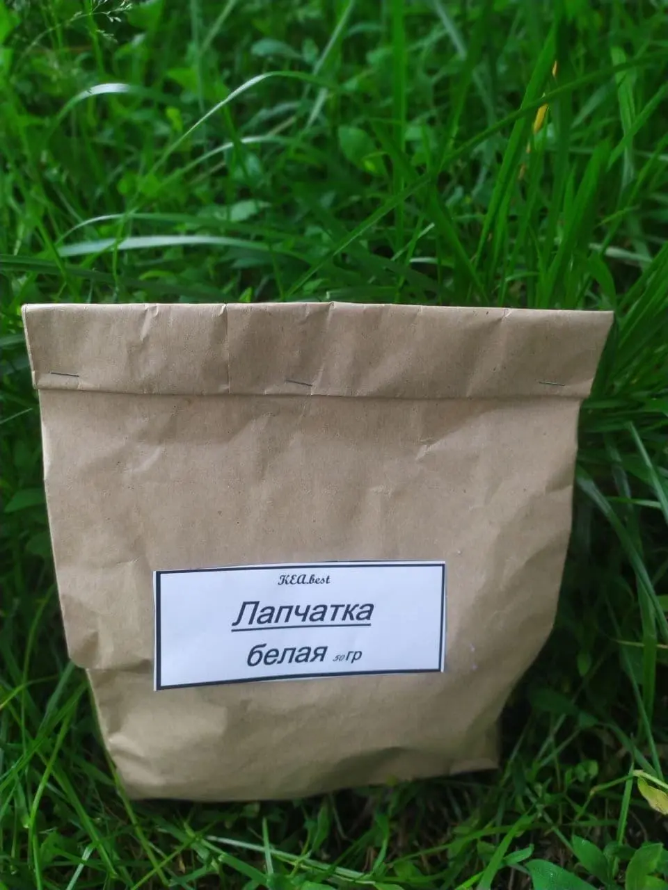 Лапчатка белая трава П'ятипал Перстач Карпаты 50 гр, фото №4