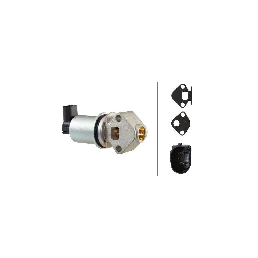 HELLA EGR-клапан 6NU 010 171-501 для SEAT SKODA VW, фото №1