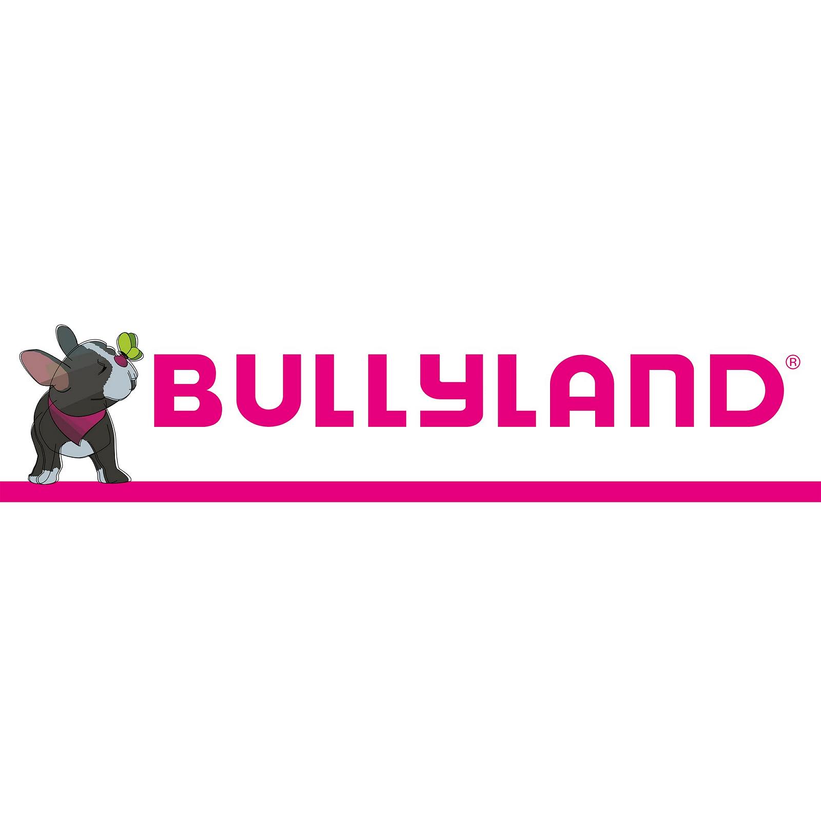 Игрушечная фигурка Bullyland Капитан Шарки с сундуком, фото №4