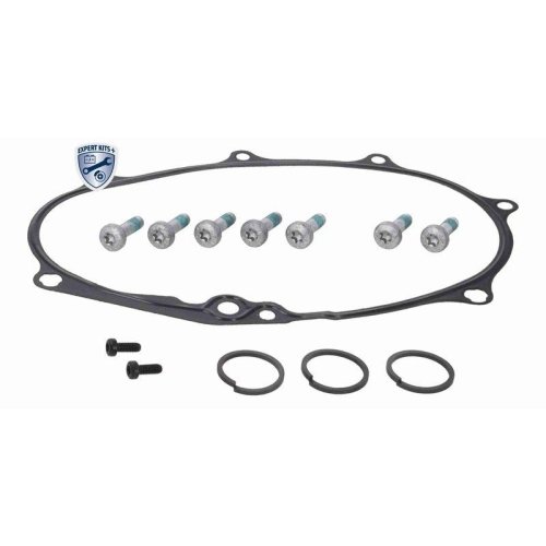 Ремкомплект регулювання розподільного вала VAICO EXPERT KITS + V10-6695 для VW VAG, фото №4 Ремкомплект регулювання розподільного вала VAICO EXPERT KITS + V10-6695 для VW VAG, фото №4
