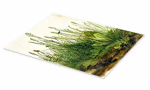 Постер Albrecht Dürer The Large Lawn Piece 50 x 70 см Зеленый synthetic.ua - Фото 1