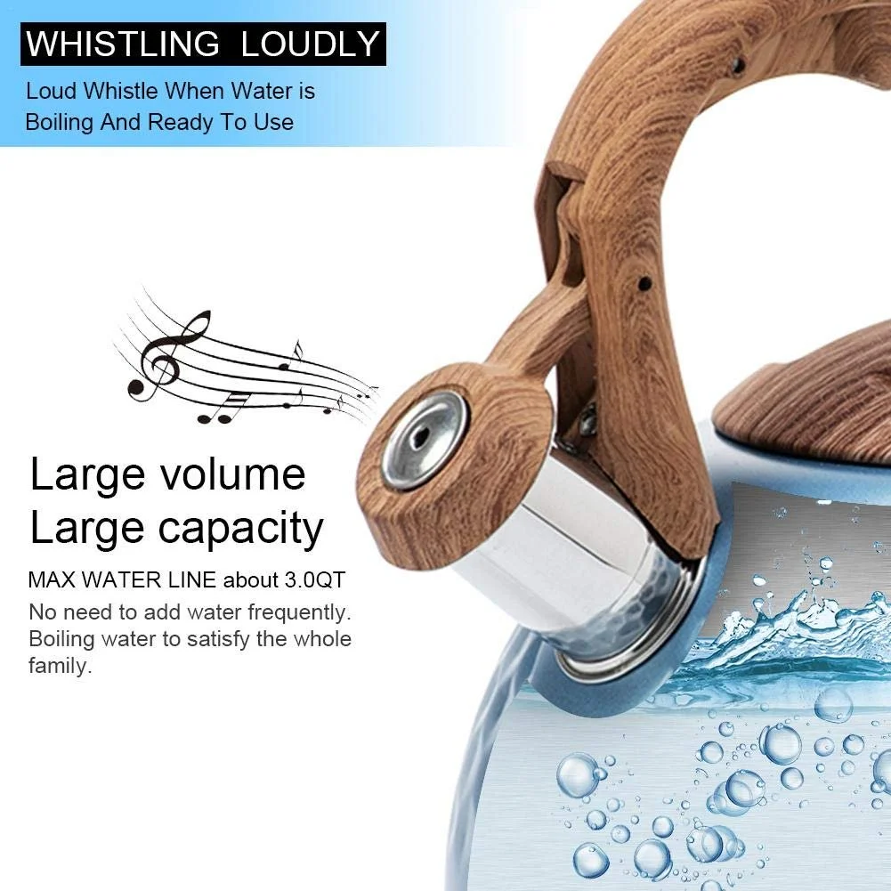 Чайник 3 л з свистком Нержавіюча сталь Дерев'яна ручка Газова плита Індукційна плита Термостійкий Зелений, фото №4