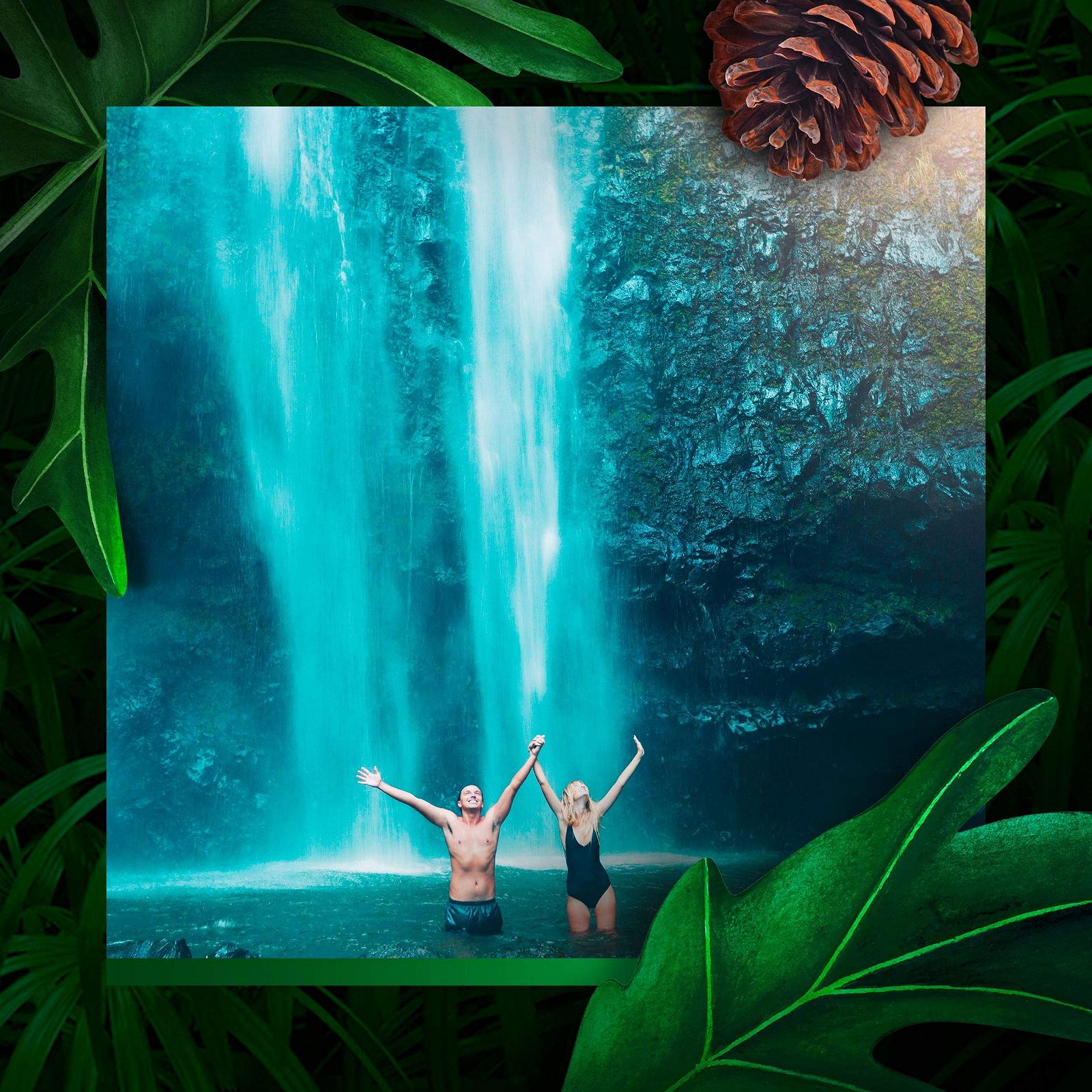 Гель для душа Axe Wild Mojito & Cedarwood 250 мл Упаковка 5 шт, фото №5