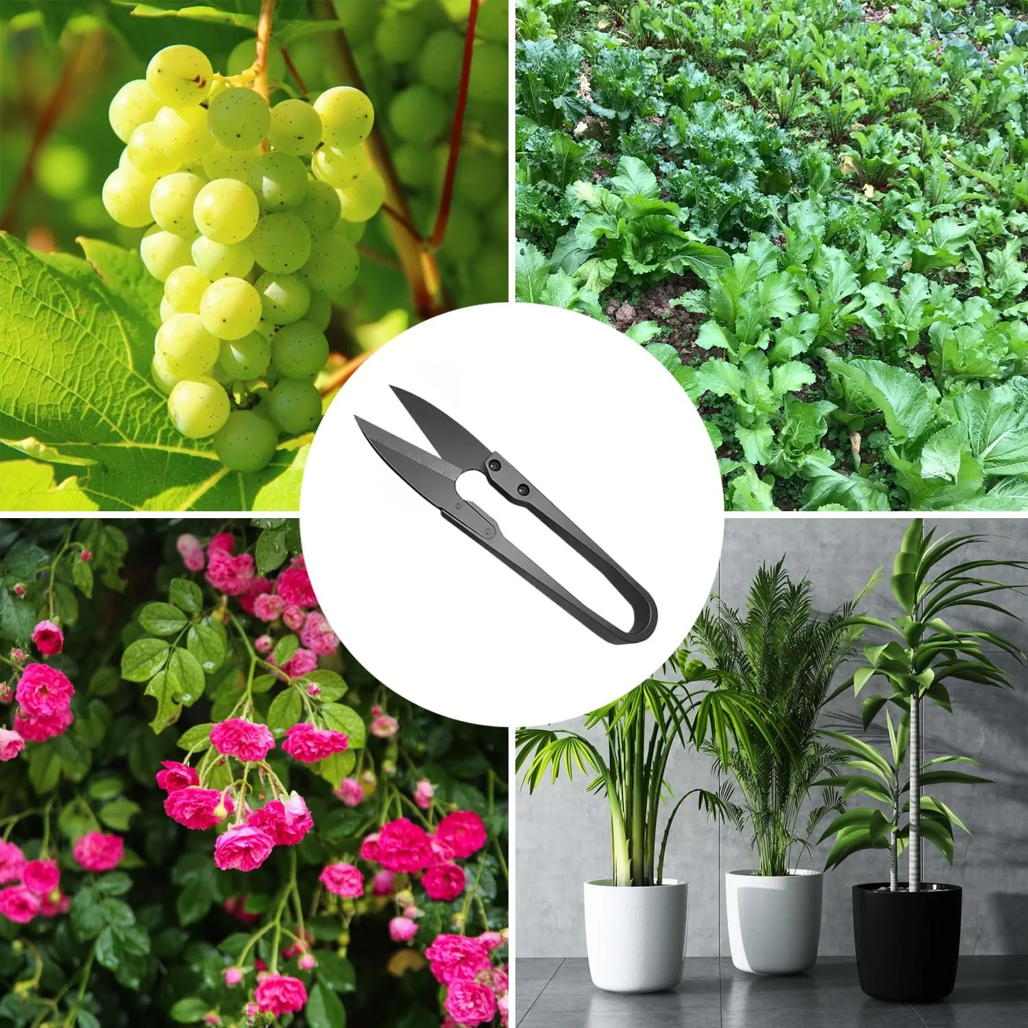 Ножиці для обрізки iCovalescent 5 шт., сталь нержавіюча, чорний, фото №7