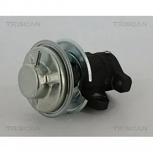 Клапан EGR TRISCAN 8813 43201 для HYUNDAI synthetic.ua - Фото 1