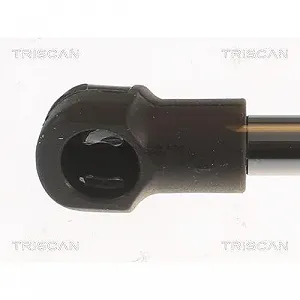 Амортизатор багажника TRISCAN 8710 25283 для RENAULT, задний левый synthetic.ua - Фото 1