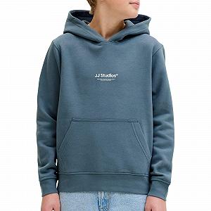 Худи JACK & JONES Jjesoho Sweat Hood Noos Jnr synthetic.ua - Фото 1