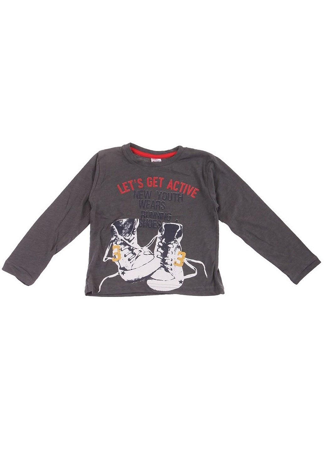 Лонгслив CS-seminal 6 Y Серый (SN-170012-Dgray), фото №1