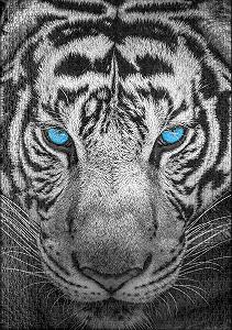 Пазл Ulmer Puzzleschmiede Classic 1000 элементов Majestic Tiger 68 x 48 см synthetic.ua - Фото 1