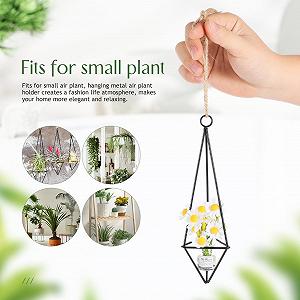 Держатели для тилландсий Alasum 4 шт. геометрические металлические synthetic.ua - Фото 1