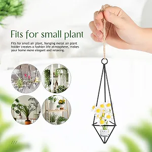 Тримачі для тилландсій Alasum 4 шт. геометричні металеві synthetic.ua - Фото 1