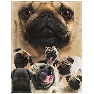 Покривало YISUMEI 125 x 150 см М'яка фланелева Покривало М'яка флісова Покривало Плед для ліжка Зручний мопс - Фото 1