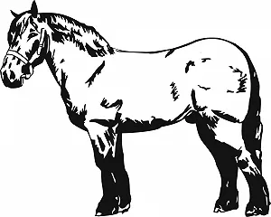 Наклейка на стіну Blattwerk Design Horse Motif Carthorse - Фото 1