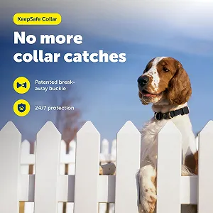 Безопасный ошейник PetSafe KeepSafe 3/4 дюйма Small черный synthetic.ua - Фото 1