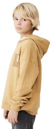 Толстовка LTB Jeans для хлопчиків Sumoya, розмір 128 см, коричневий, фото №5 Толстовка LTB Jeans для хлопчиків Sumoya, розмір 128 см, коричневий, фото №5