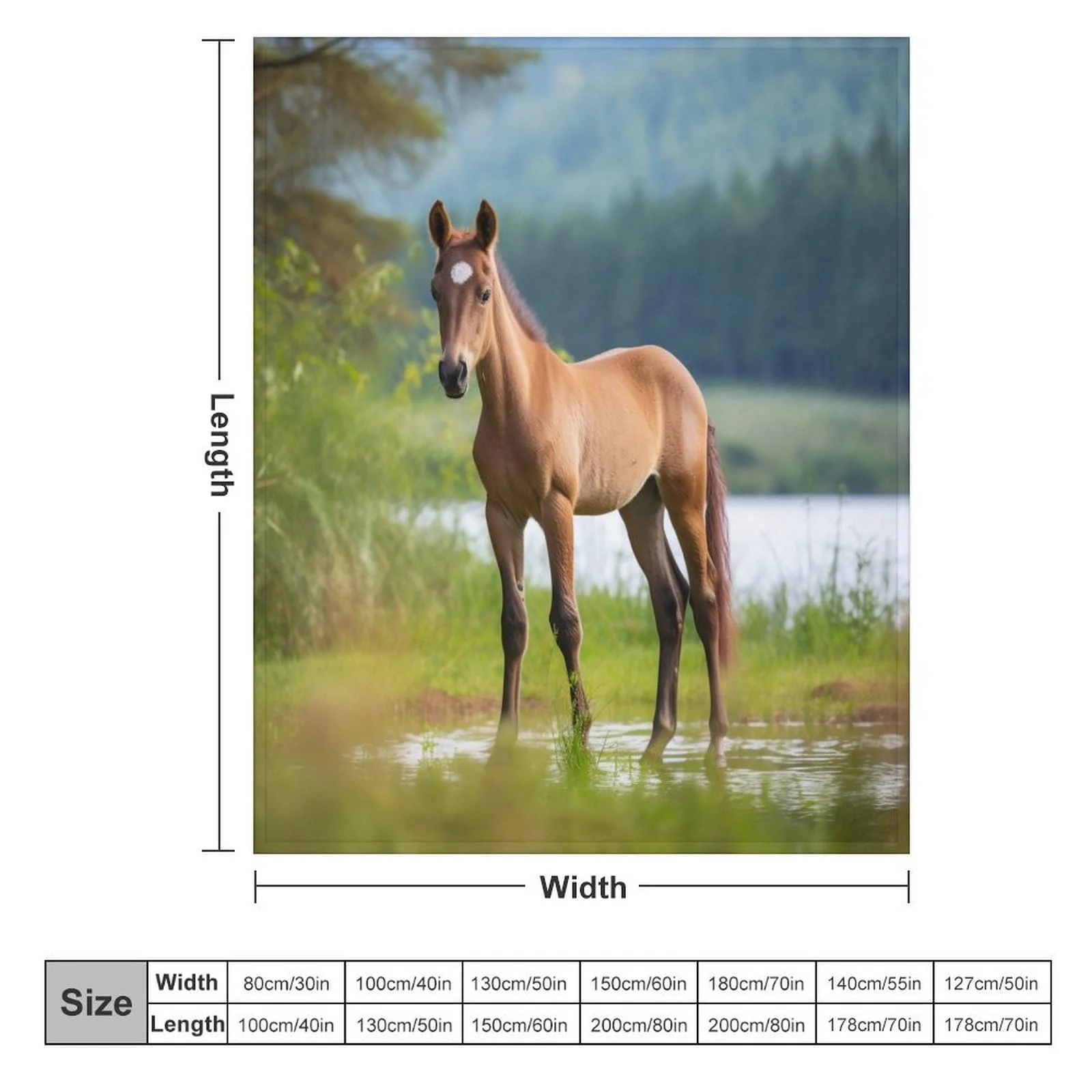 Одеяло Четыре сезона Плед Теплый Плед для дивана/кровати Фланель Мягкий и пушистый флисовый плед (100 x 130 см), фото №5