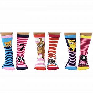Носки Feline Good Cat Oddsocks Размер 37-42, Набор 6 штук synthetic.ua - Фото 1