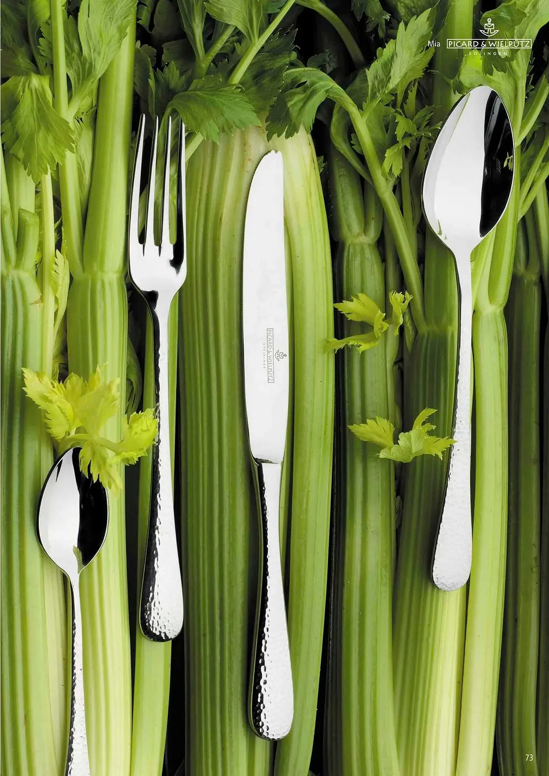 Набор столовых приборов Picard & Wielpütz Mia 6180 60 предметов, фото №5