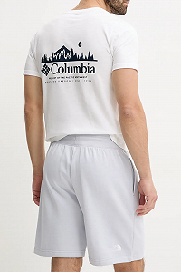 Шорти Essential Relaxed Shorts 0A8C2G0TI1 THE NORTH FACE Сірий M synthetic.ua - Фото 1
