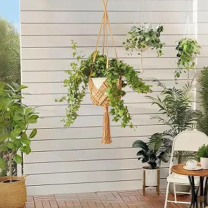 Тримач для рослин макраме Trendy Boho підвісний 2 шт synthetic.ua - Фото 1