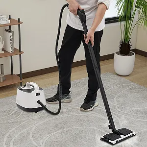 Пароочисник 2000Вт 4бар ручний багатофункціональний synthetic.ua - Фото 1