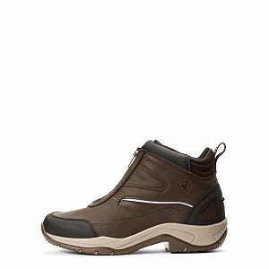 Ботинки Ariat Telluride Zip H2O Женские synthetic.ua - Фото 1