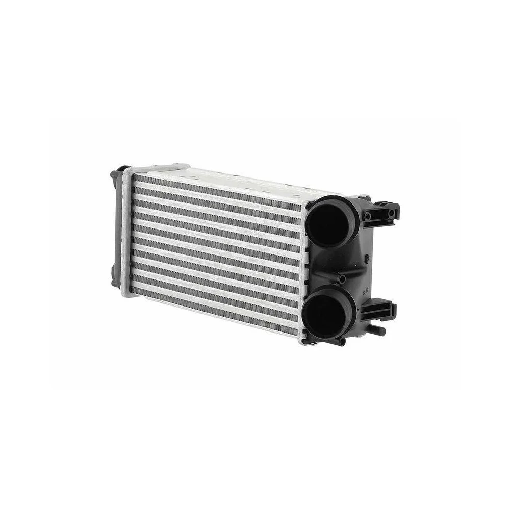 Интеркулер HELLA 8ML 366 470-951 для CITROËN PEUGEOT, слева, фото №1