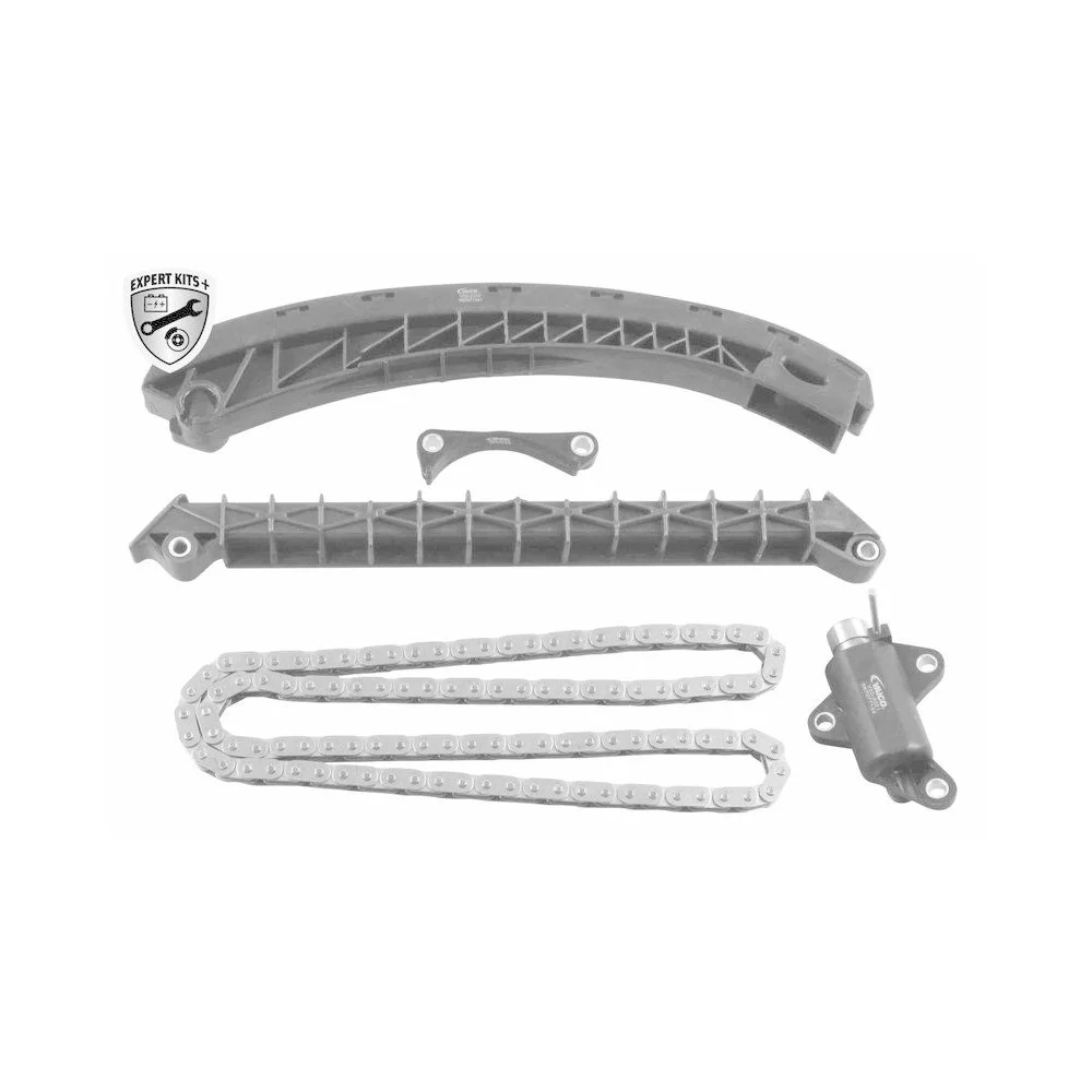 Комплект цепи ГРМ VAICO EXPERT KITS + V20-10008-BEK для BMW, фото №1