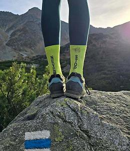 Шкарпетки для бігу TODO Running Raid для чоловіків та жінок synthetic.ua - Фото 1