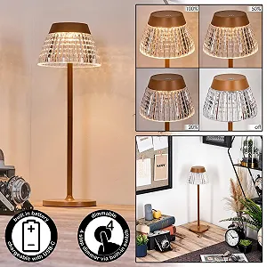 Настільна лампа HOFSTEIN Macos LED димована металева/пластикова 38 см 1 Вт 100 лм іржаво-коричнева/прозора synthetic.ua - Фото 1