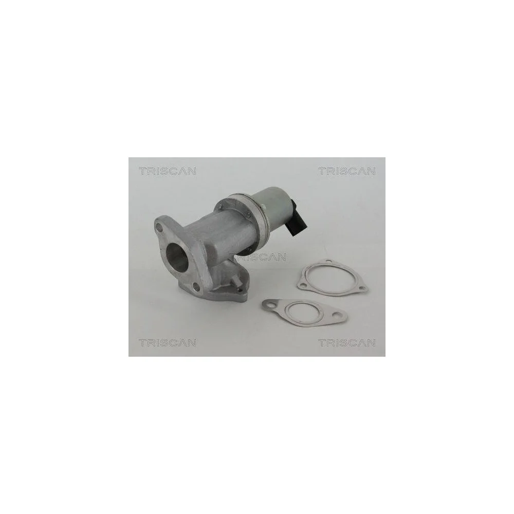 Клапан EGR TRISCAN 8813 43002 для HYUNDAI KIA HITACHI, фото №1
