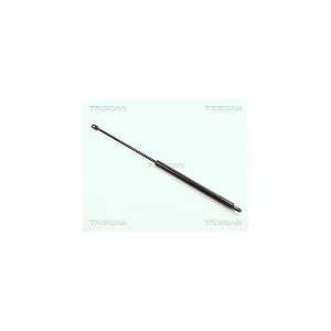 Амортизатор капота TRISCAN 8710 1108 для BMW - Фото 1