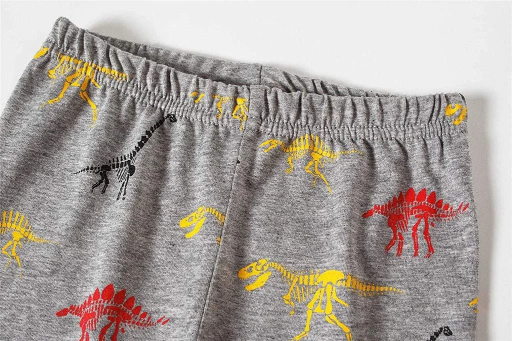Дитячий комплект: Футболка, штани Romper Boy, бавовна, динозавр, фото №5