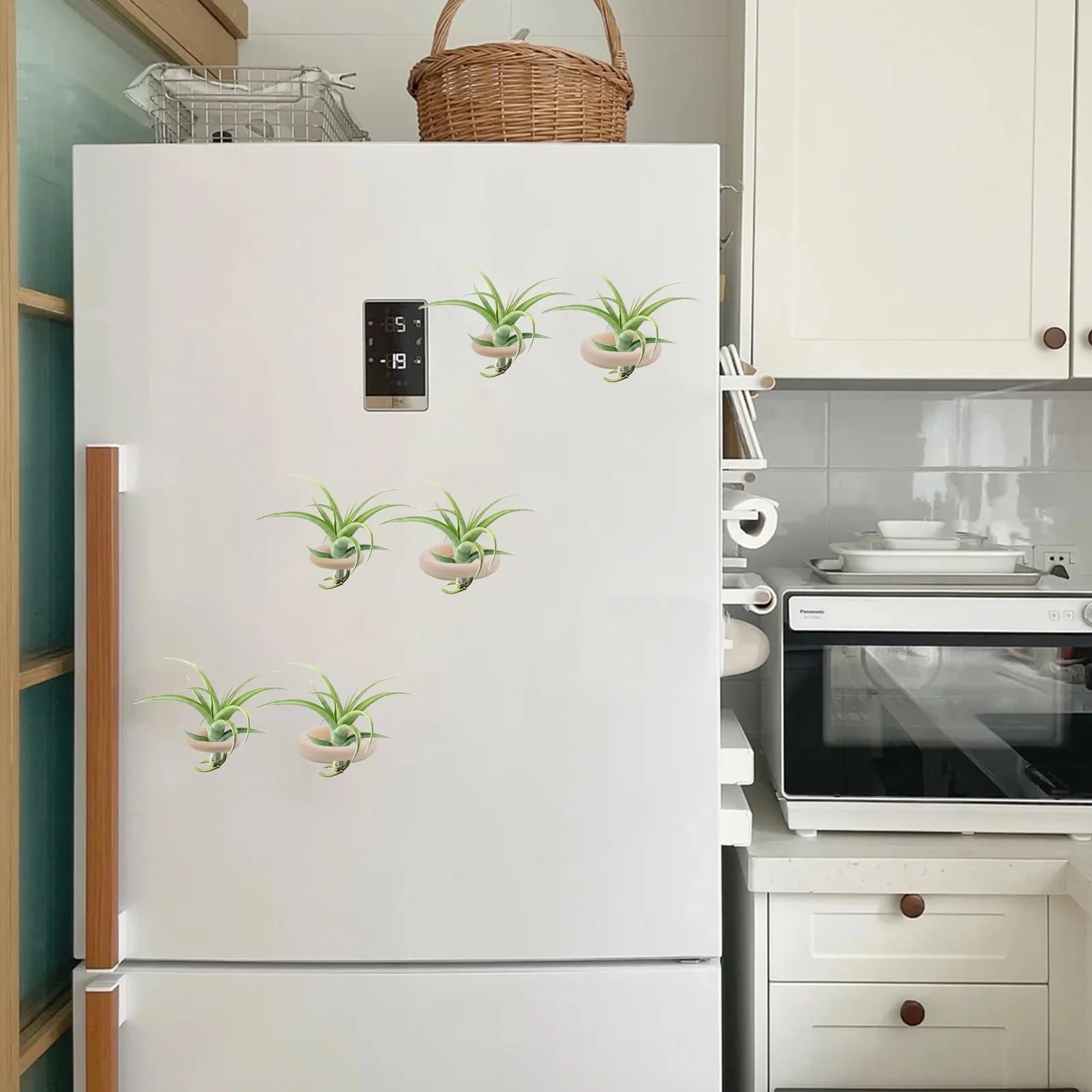 Тримачі для повітряних рослин 20 наборів з присосками Tillandsia Holder настінні для плитки, скла та вікон, фото №5 Тримачі для повітряних рослин 20 наборів з присосками Tillandsia Holder настінні для плитки, скла та вікон, фото №5