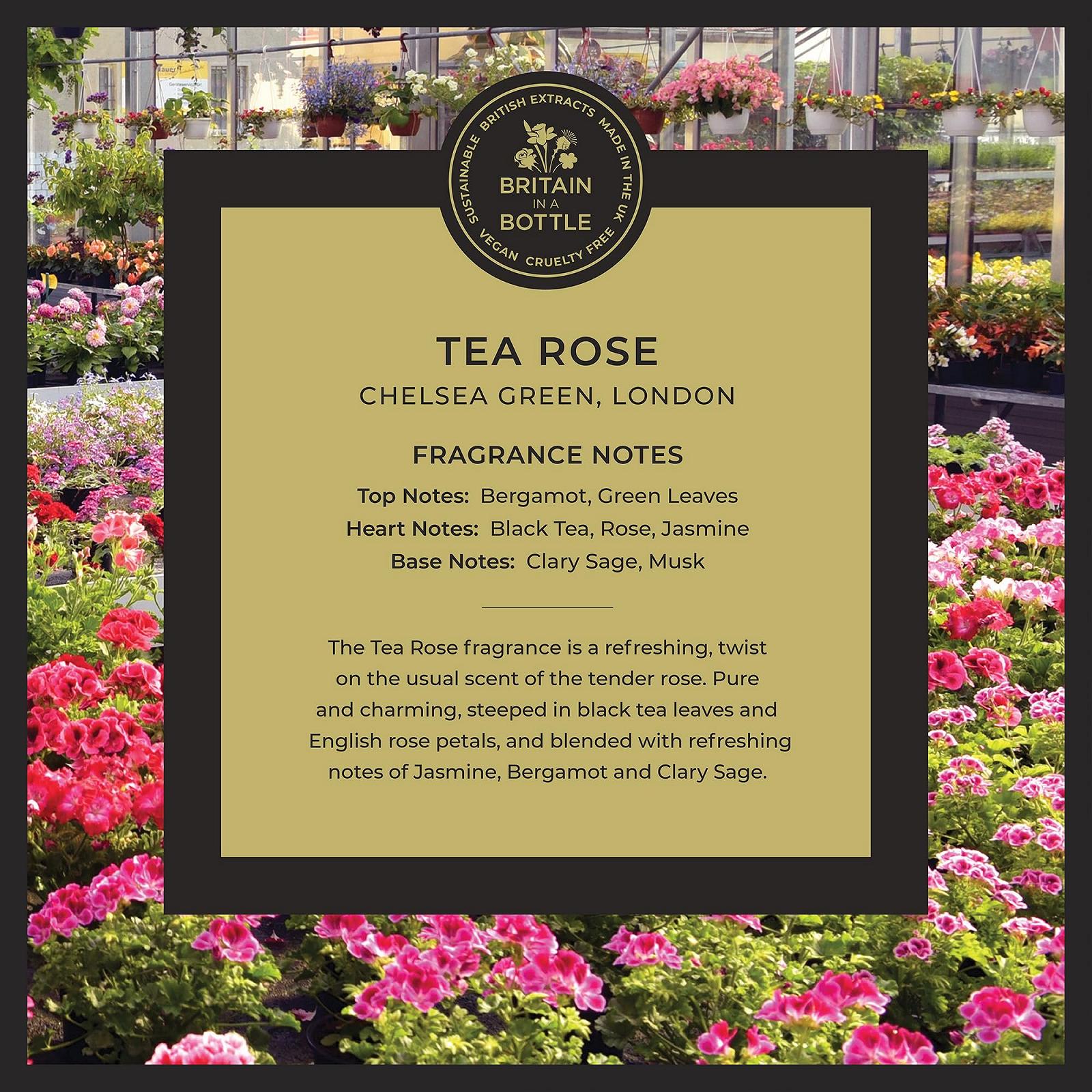Гель для душу Noble Isle Tea Rose 250 мл, фото №2 Гель для душу Noble Isle Tea Rose 250 мл, фото №2