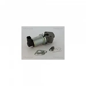 Клапан EGR TRISCAN 8813 29045 для SEAT VW - Фото 1